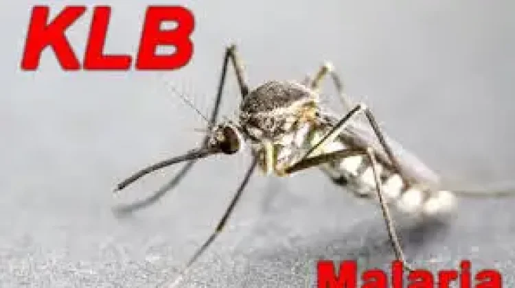 Status KLB malaria Rohil Kembali Diperpanjang